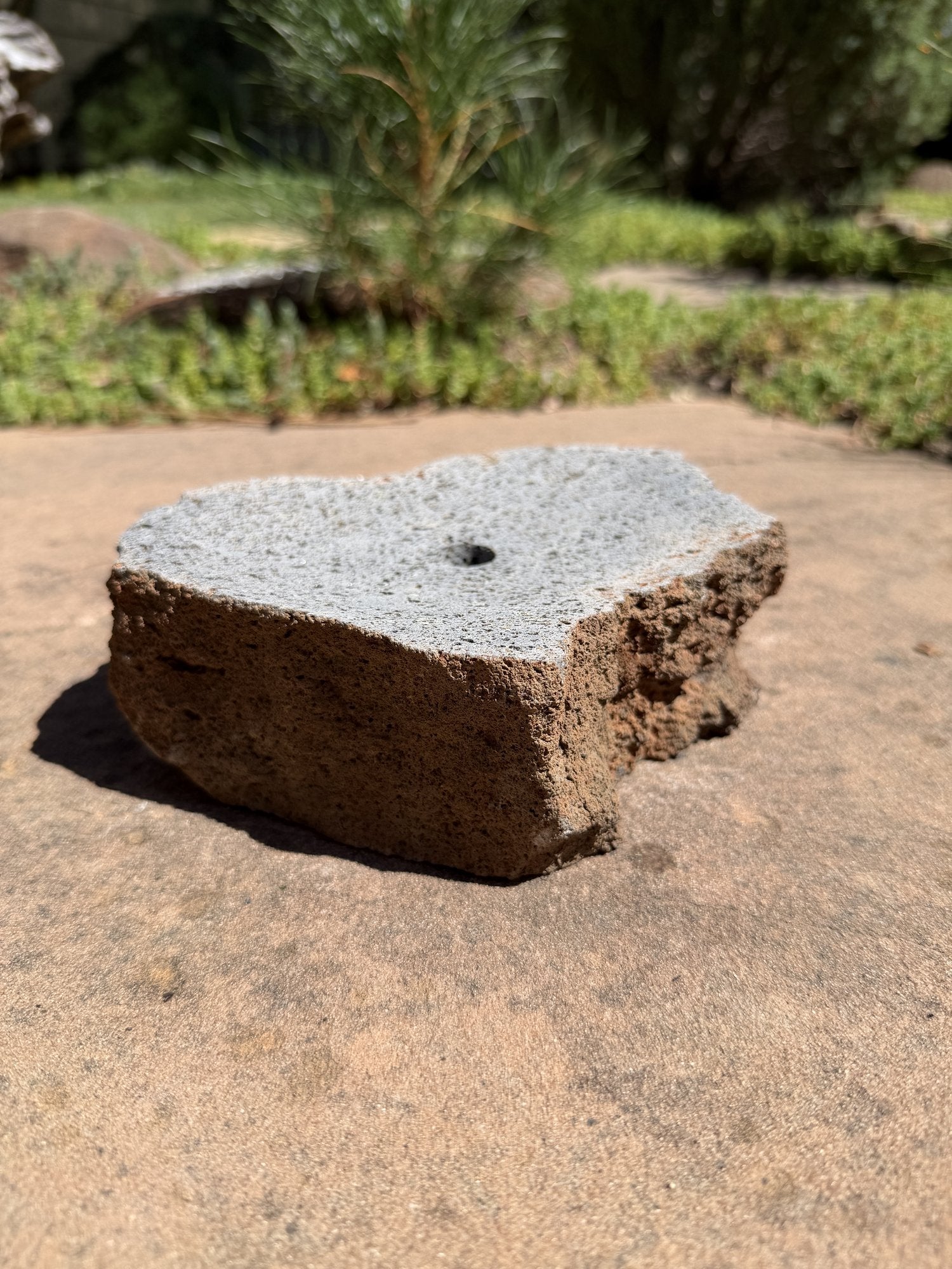 Drilled Rock Bird Bath Fountain - Natural Bubbling Stone for Hummingbirds (7"x5-1/2"x2")