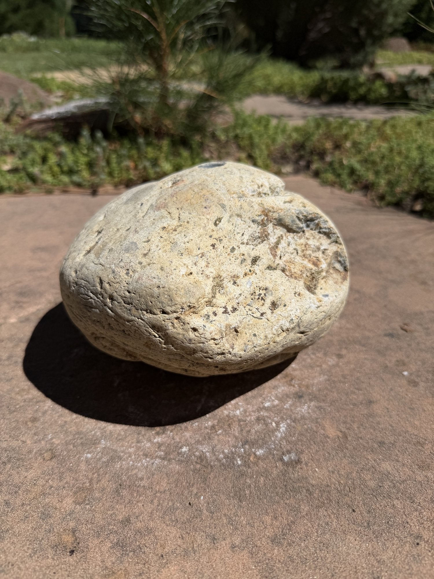 Natural Fountain Stone - River Rock Bird Bath for a Bubbling Water Fountain (6-1/2"x5")