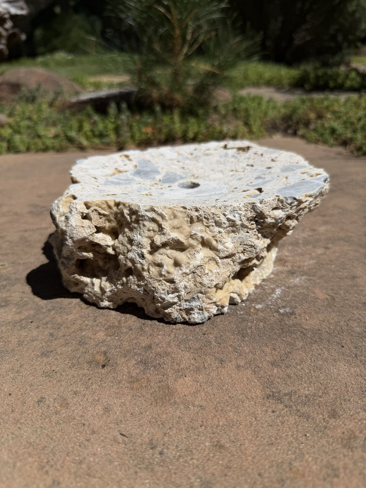 Drilled Rock Bird Bath Fountain - Natural Bubbling Stone for Hummingbirds (7"x6"x3")
