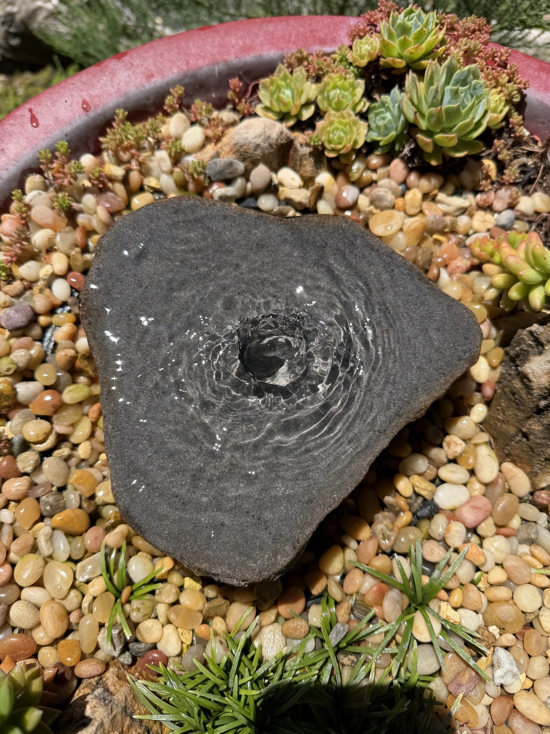 Drilled Rock Bird Bath Fountain - Natural Bubbling Stone for Hummingbirds (7" wide, 2" tall)