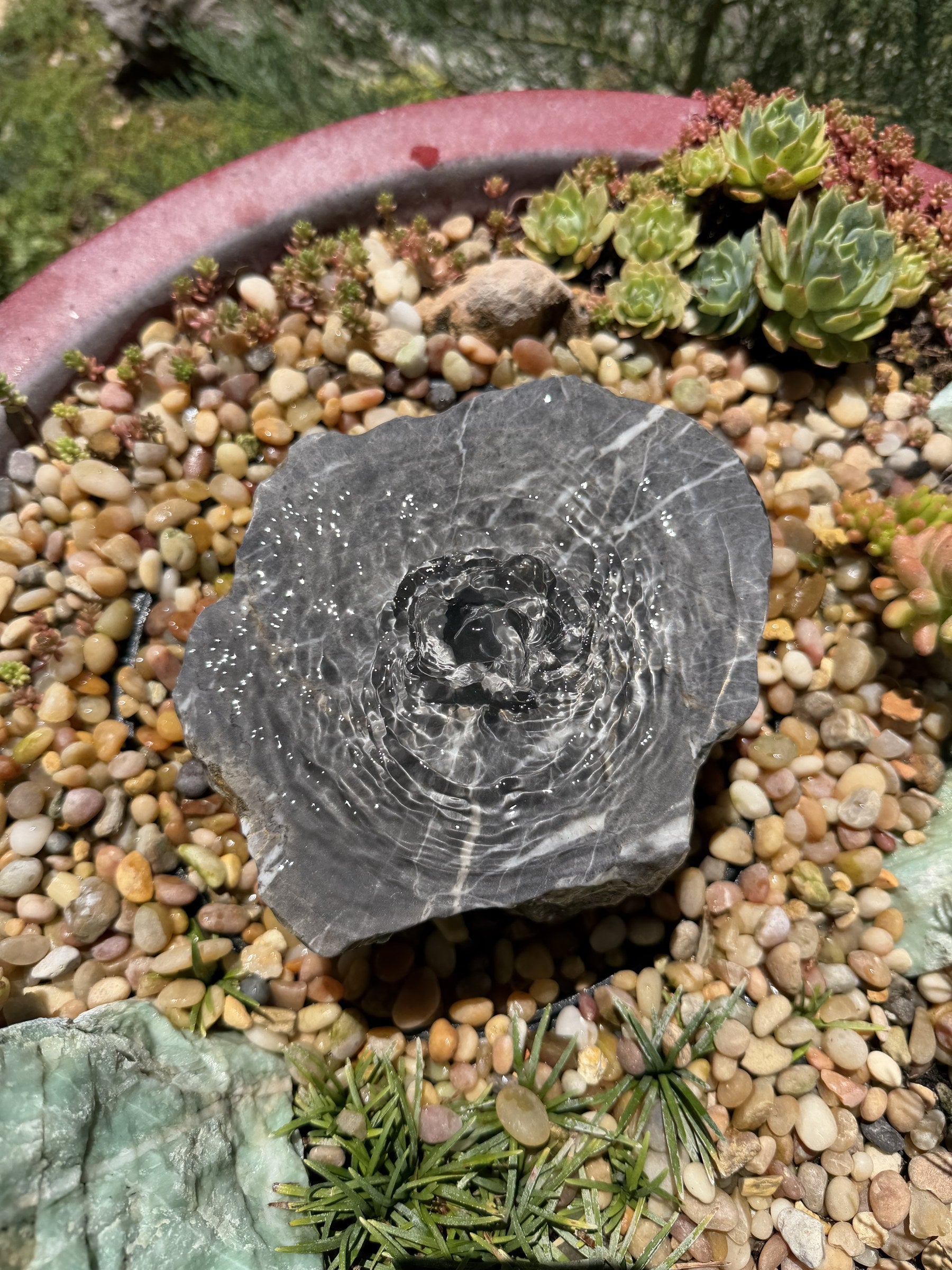 Hand-Polished Stone Bird Bath - Smooth River Rock for a Bubbling Fountain (7"x6"x3")