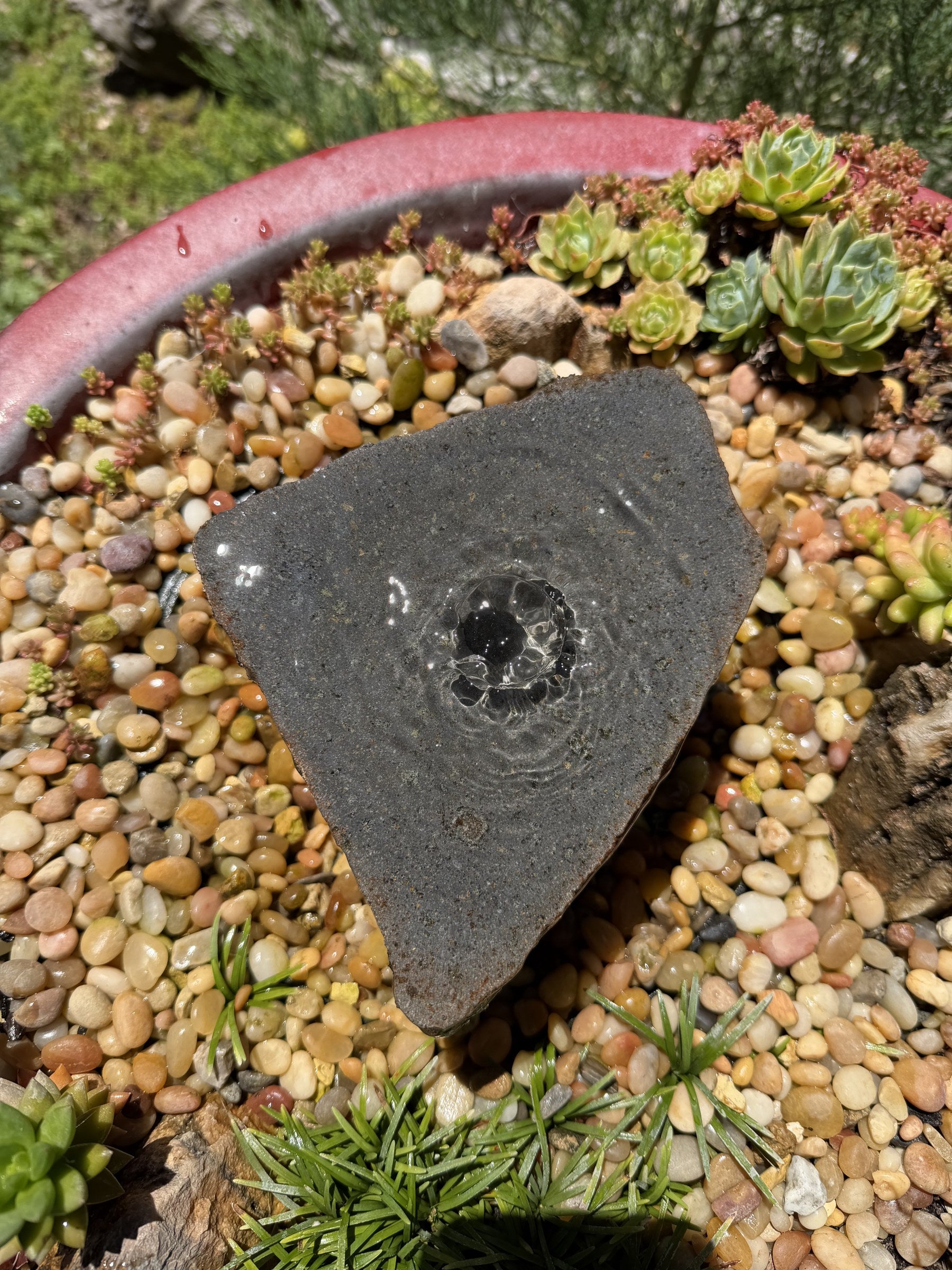 Drilled Rock Bird Bath Fountain - Natural Bubbling Stone for Hummingbirds (6" wide, 3" tall)
