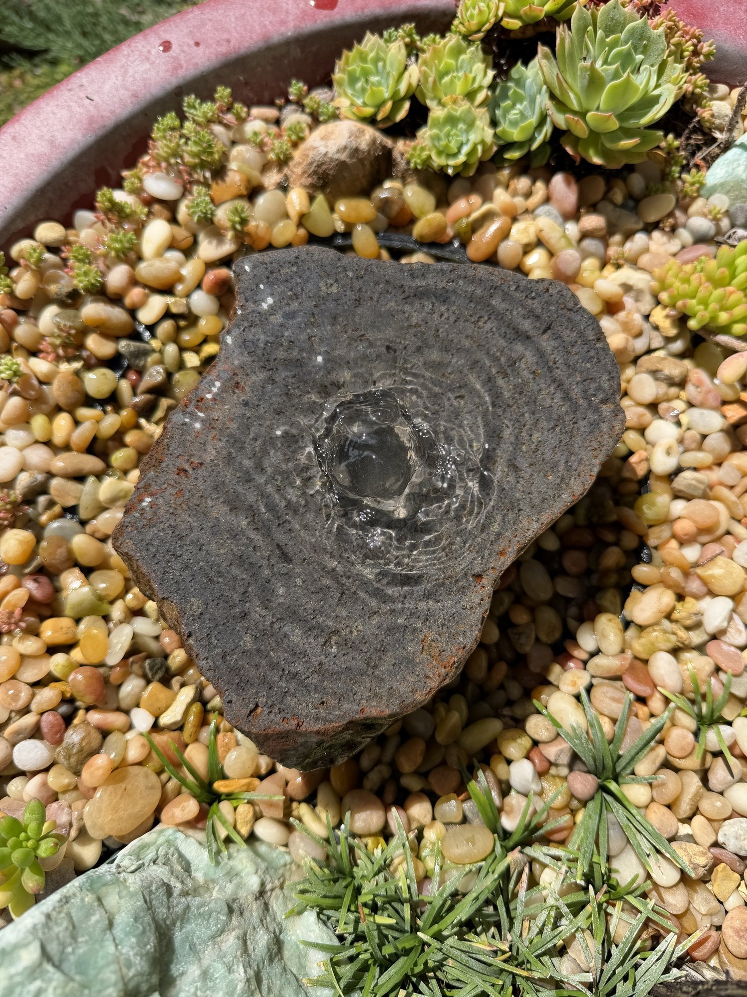 Drilled Rock Bird Bath Fountain - Natural Bubbling Stone for Hummingbirds (7"x5-1/2"x2")