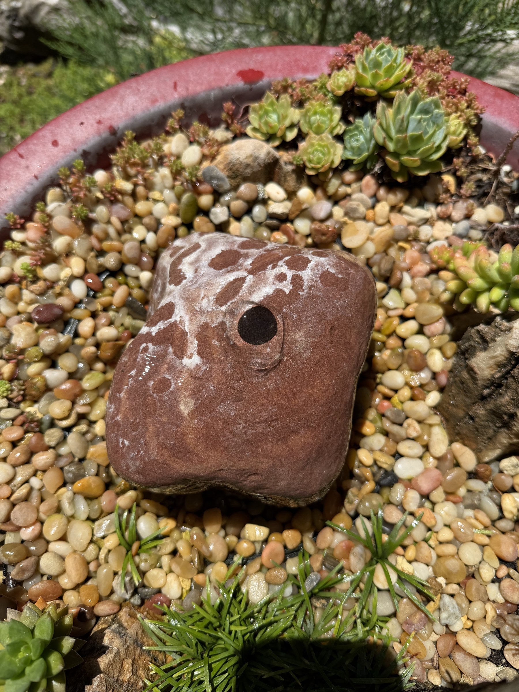 Natural Fountain Stone - Round River Rock Bird Bath for a Bubbling Fountain (6" tall)