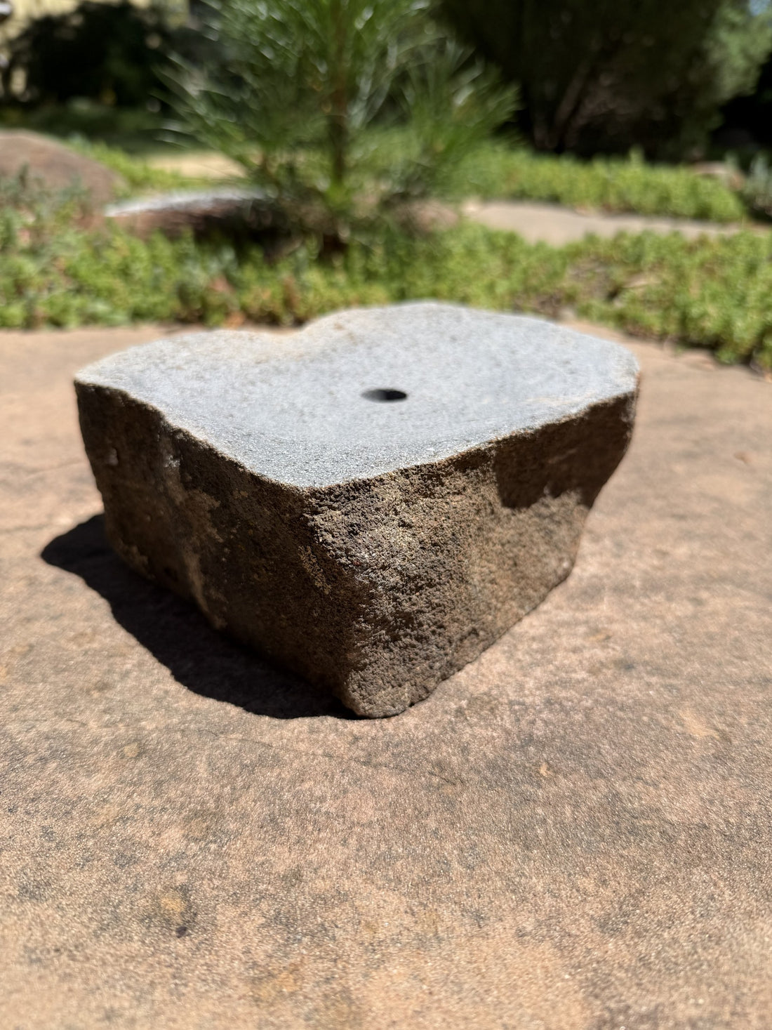 Drilled Rock Bird Bath Fountain - Natural Bubbling Stone for Hummingbirds (7" wide, 2-1/2" tall)