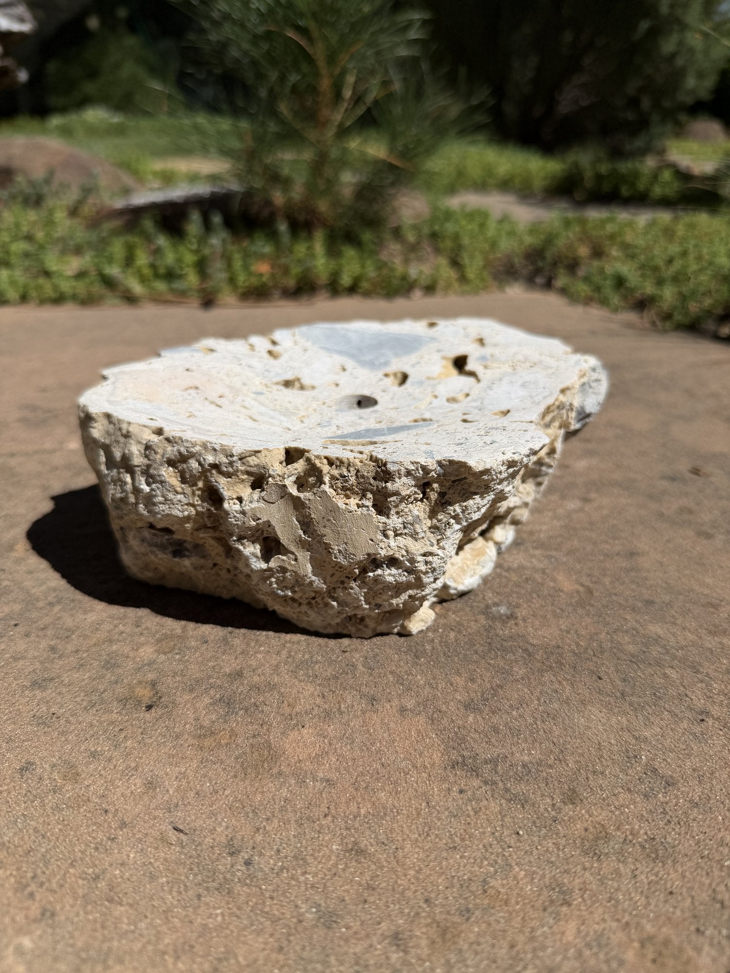 Drilled Rock Bird Bath Fountain - Natural Bubbling Stone for Hummingbirds (7"x6-1/2"x2-1/2")