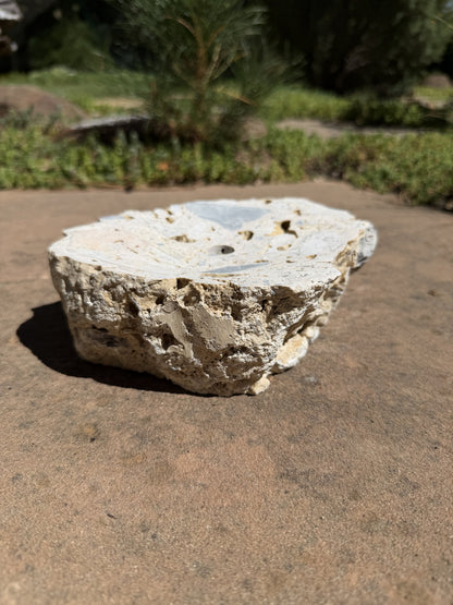 Drilled Rock Bird Bath Fountain - Natural Bubbling Stone for Hummingbirds (7"x6-1/2"x2-1/2")