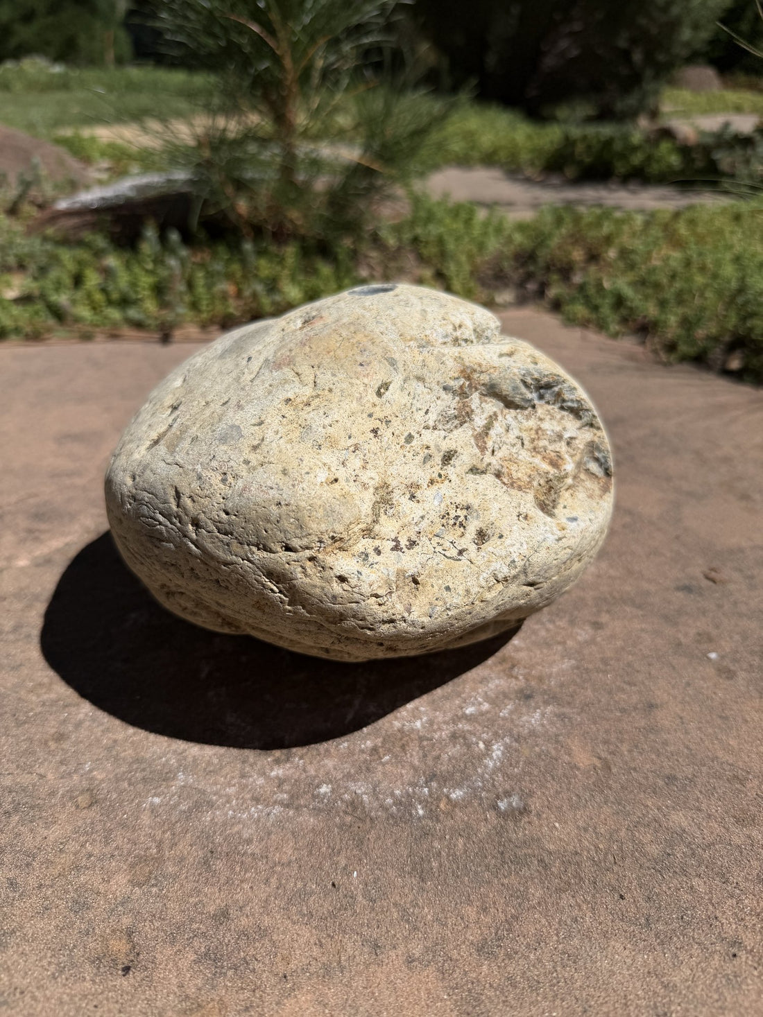 Natural Fountain Stone - River Rock Bird Bath for a Bubbling Water Fountain (6-1/2"x5")