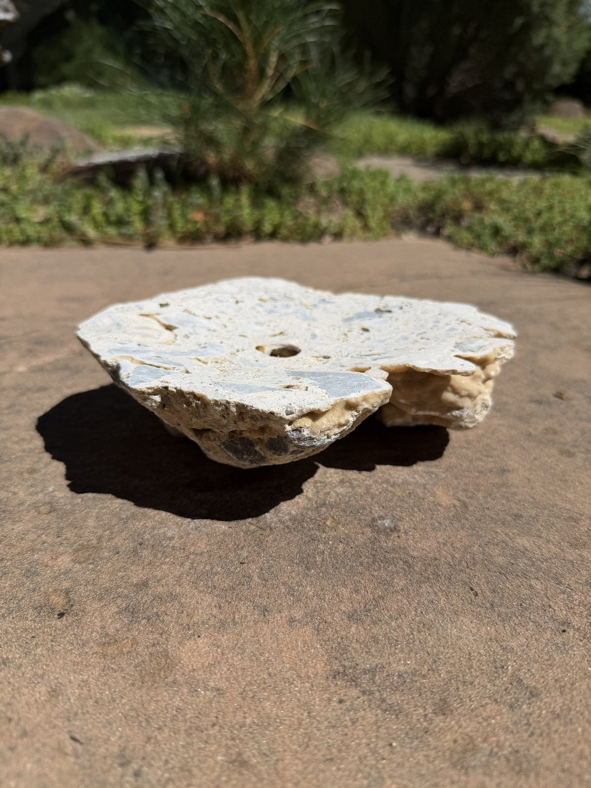 Drilled Rock Bird Bath Fountain - Natural Bubbling Stone for Hummingbirds (7"x6"x2")