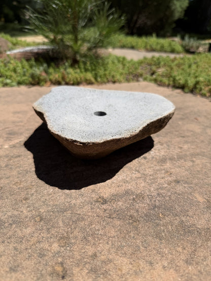 Drilled Rock Bird Bath Fountain - Natural Bubbling Stone for Hummingbirds (7" wide, 2" tall)
