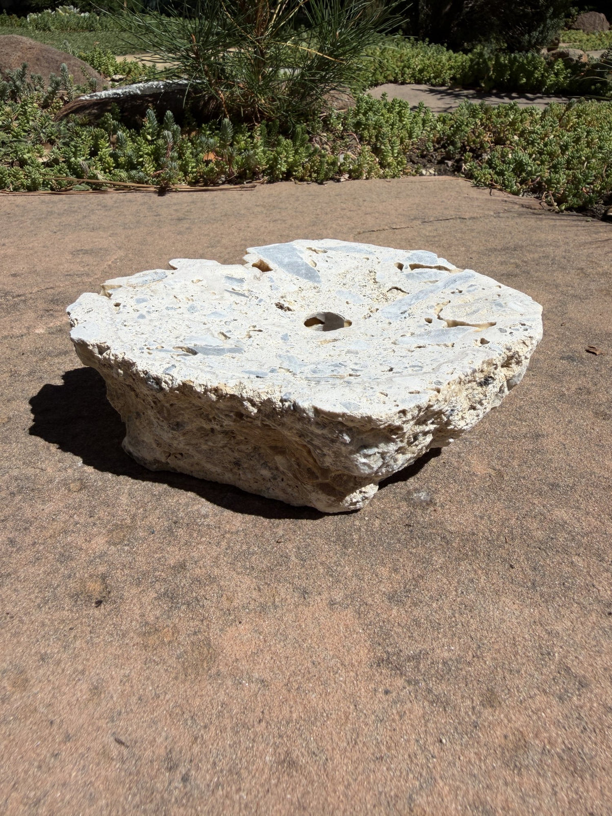 Drilled Rock Bird Bath Fountain - Natural Bubbling Stone for Hummingbirds (7"x6"x2")
