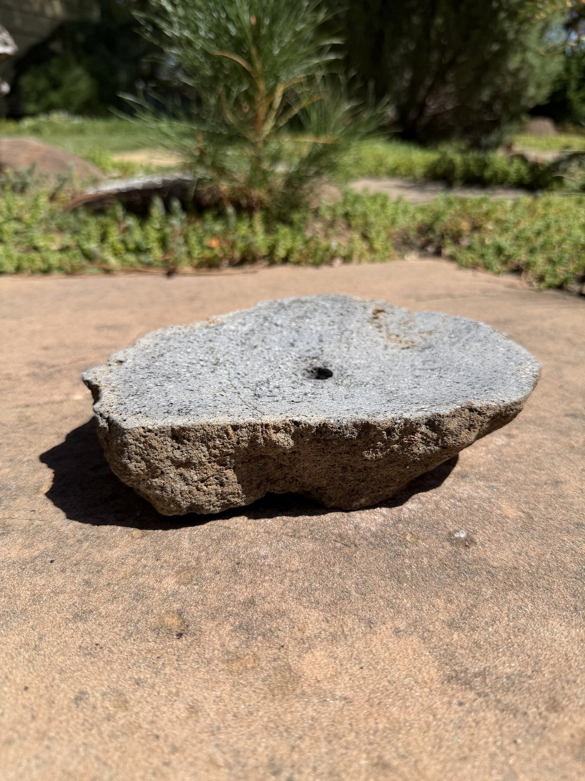 Drilled Rock Bird Bath Fountain - Natural Bubbling Stone for Hummingbirds (8"x7"x2")