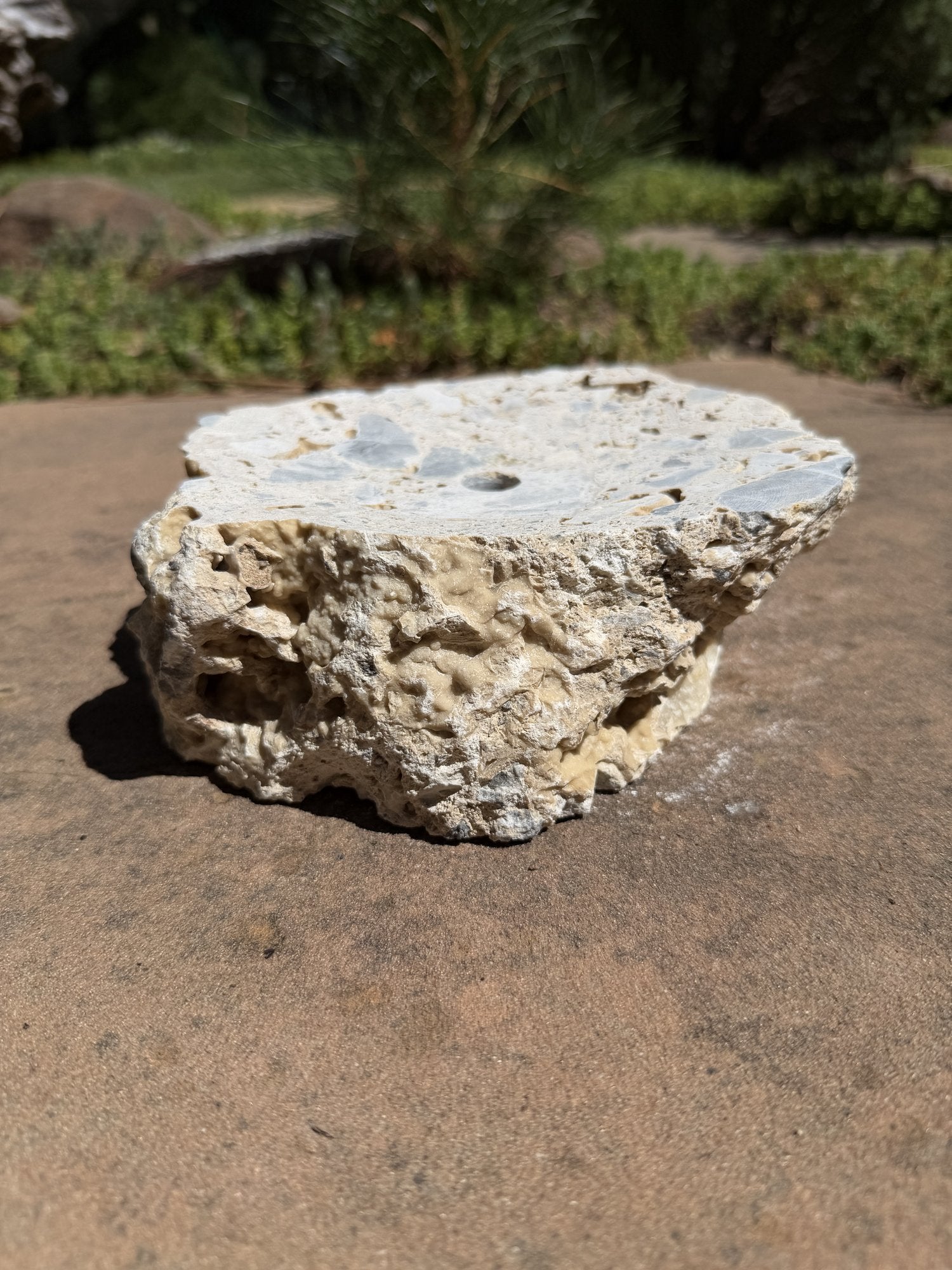 Drilled Rock Bird Bath Fountain - Natural Bubbling Stone for Hummingbirds (7"x6"x3")