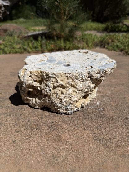 Drilled Rock Bird Bath Fountain - Natural Bubbling Stone for Hummingbirds (7"x6"x3")