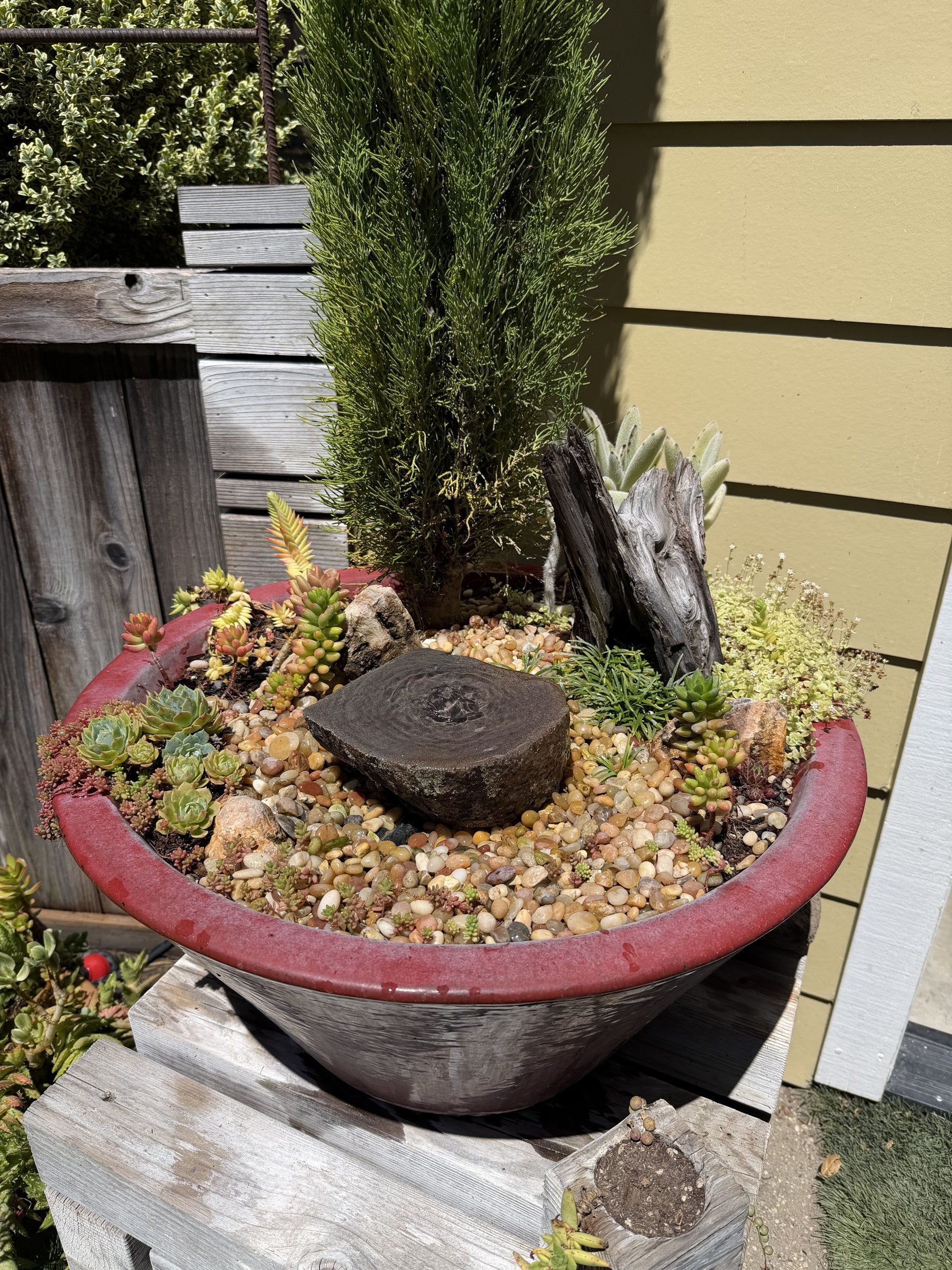 Drilled Rock Bird Bath Fountain - Natural Bubbling Stone for Hummingbirds (6" wide, 2-1/2" tall)