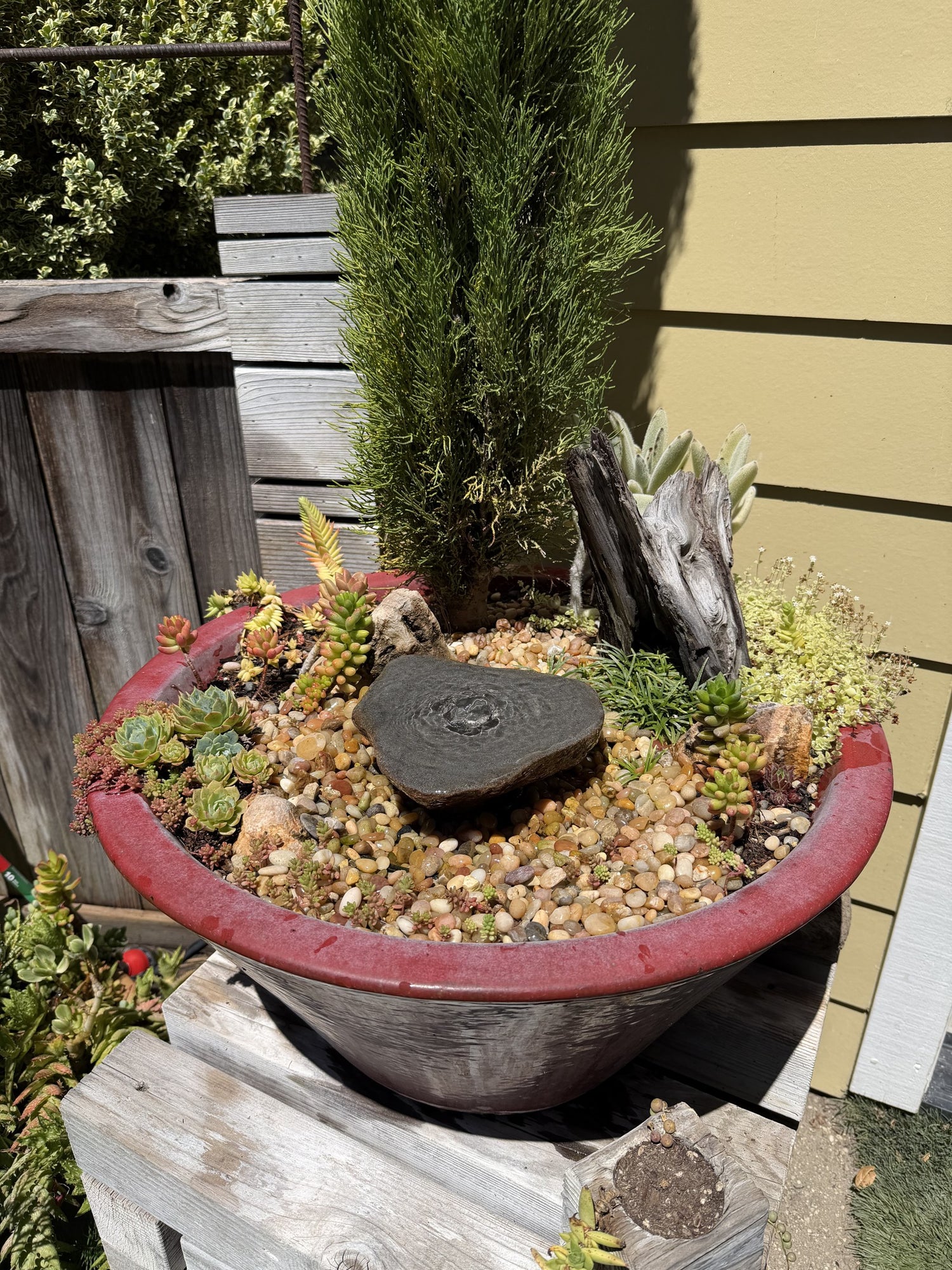 Drilled Rock Bird Bath Fountain - Natural Bubbling Stone for Hummingbirds (7" wide, 2" tall)