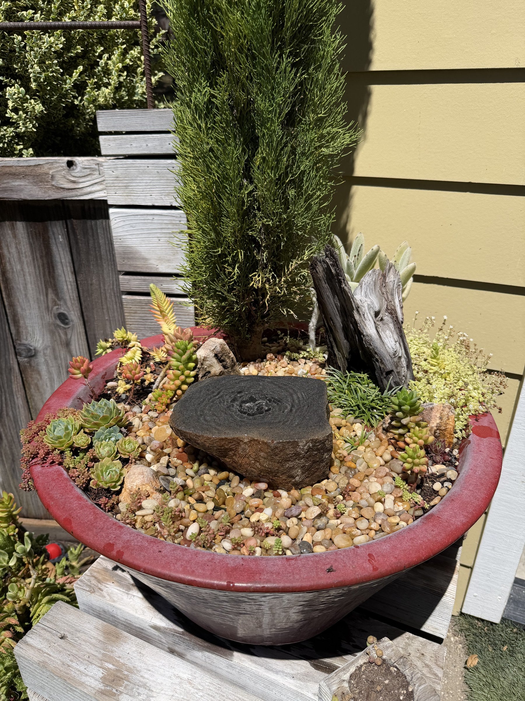 Drilled Rock Bird Bath Fountain - Natural Bubbling Stone for Hummingbirds (7" wide, 2-1/2" tall)