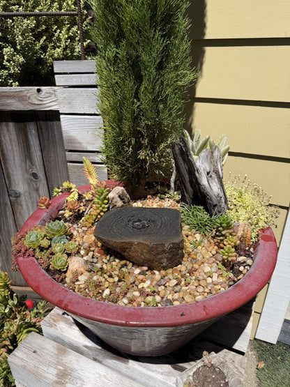 Drilled Rock Bird Bath Fountain - Natural Bubbling Stone for Hummingbirds (7" wide, 2-1/2" tall)