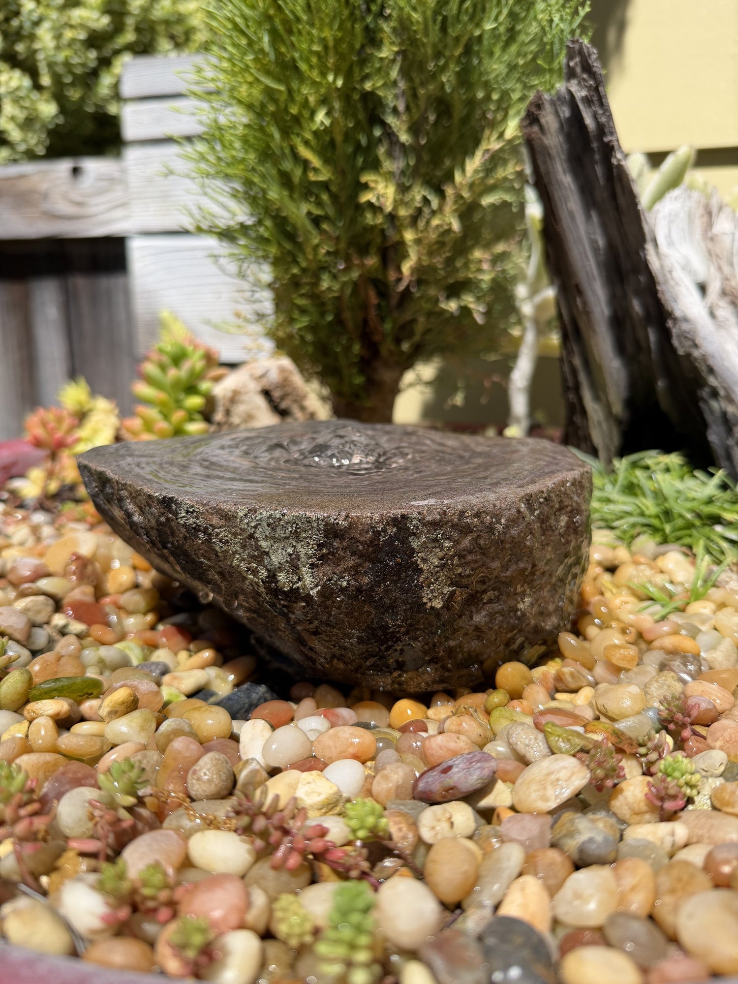 Drilled Rock Bird Bath Fountain - Natural Bubbling Stone for Hummingbirds (6" wide, 2-1/2" tall)