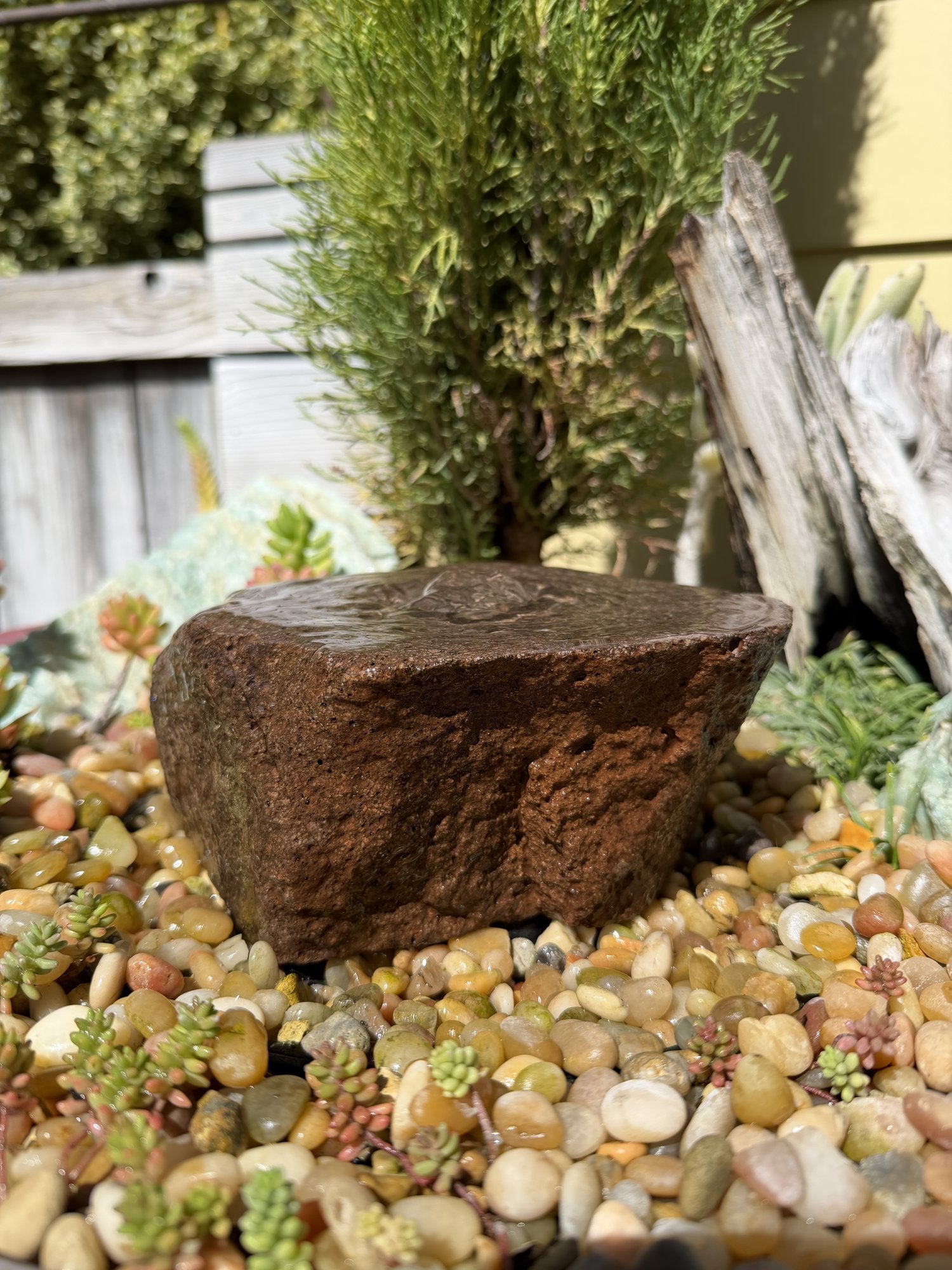 Drilled Rock Bird Bath Fountain - Natural Bubbling Stone for Hummingbirds (6"x6"x3")