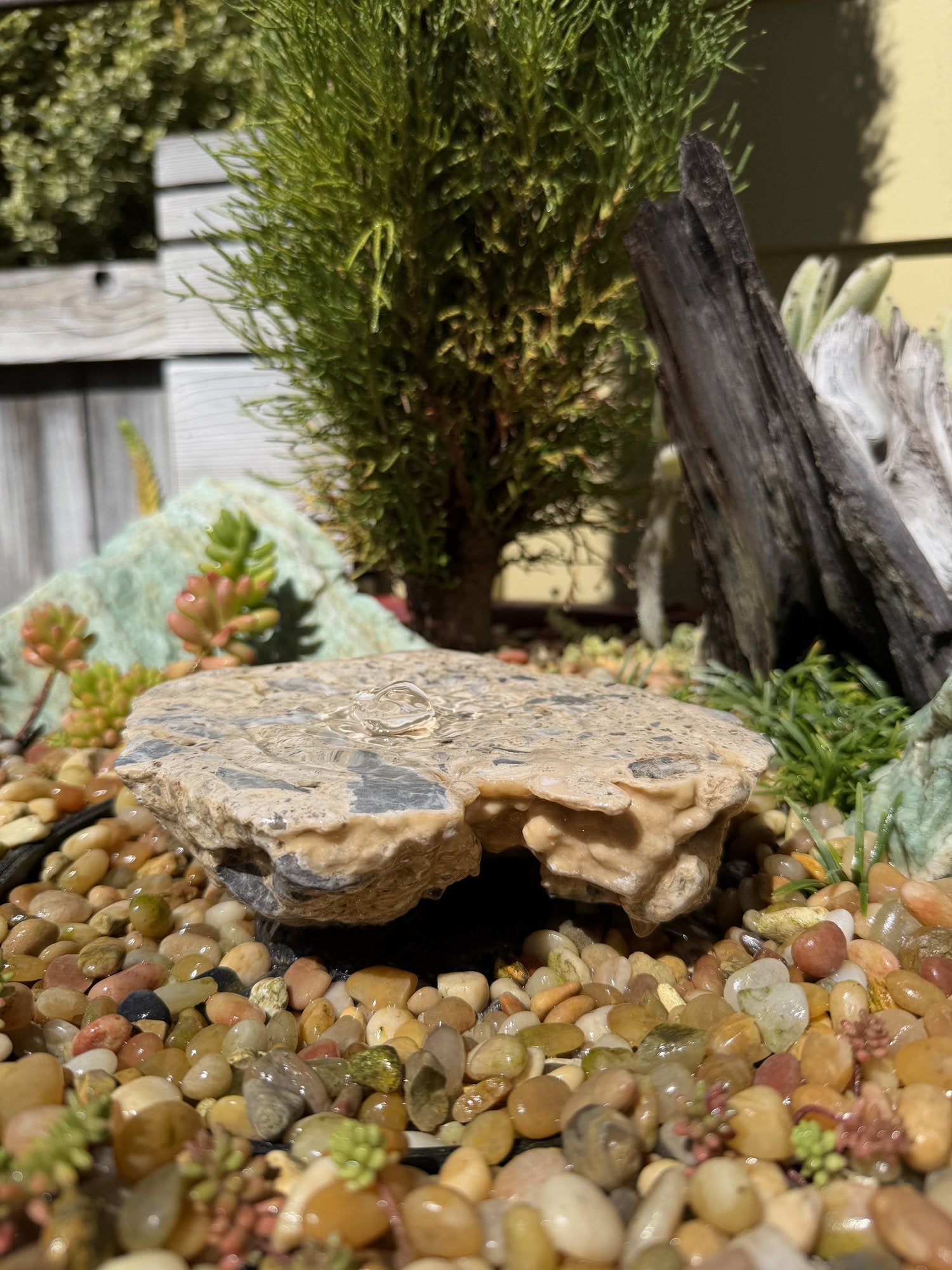 Drilled Rock Bird Bath Fountain - Natural Bubbling Stone for Hummingbirds (7"x6"x2")