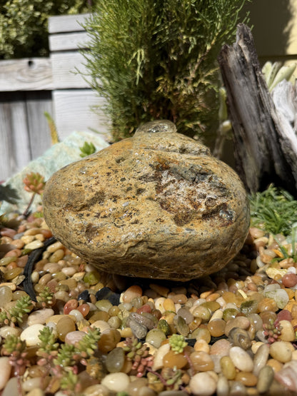 Natural Fountain Stone - River Rock Bird Bath for a Bubbling Water Fountain (6-1/2"x5")