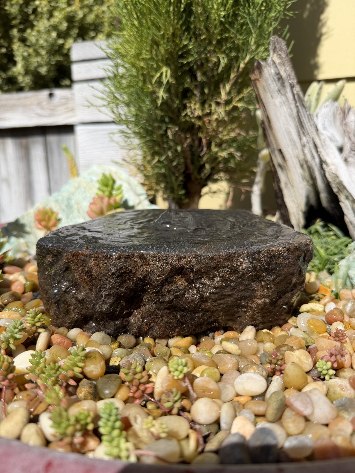Drilled Rock Bird Bath Fountain - Natural Bubbling Stone for Hummingbirds (7"x6-1/2"x2")