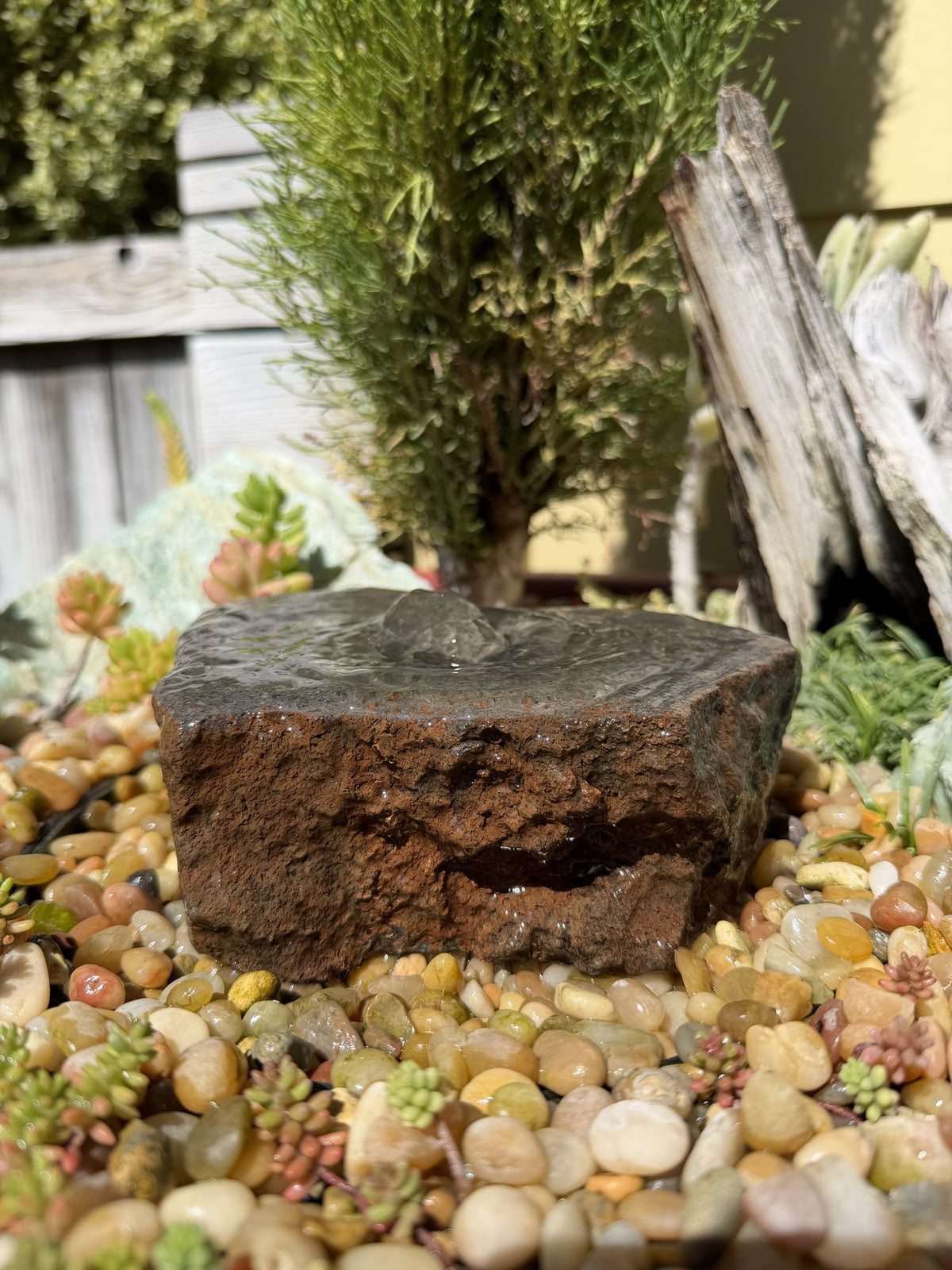 Drilled Rock Bird Bath Fountain - Natural Bubbling Stone for Hummingbirds (7"x5-1/2"x2")