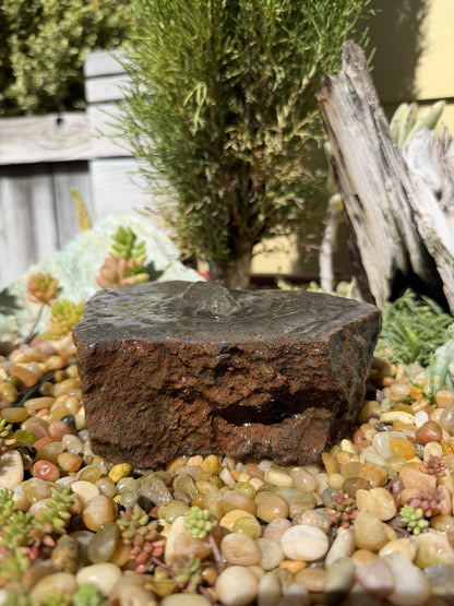 Drilled Rock Bird Bath Fountain - Natural Bubbling Stone for Hummingbirds (7"x5-1/2"x2")
