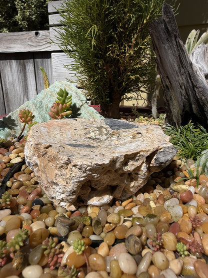 Drilled Rock Bird Bath Fountain - Natural Bubbling Stone for Hummingbirds (7"x6-1/2"x2-1/2")