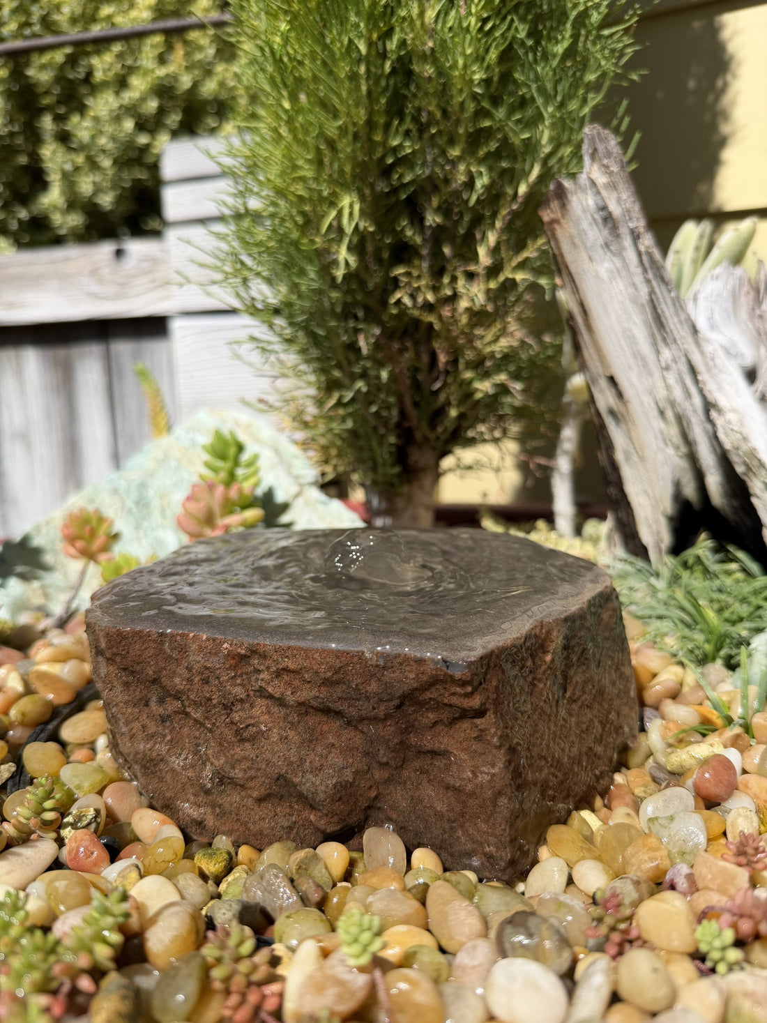 Drilled Rock Bird Bath Fountain - Natural Bubbling Stone for Hummingbirds (6-1/2"x6"x2-1/2") II