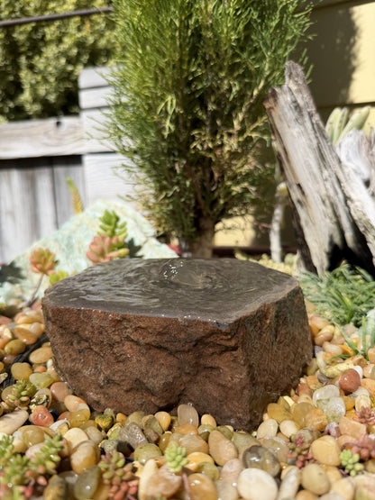 Drilled Rock Bird Bath Fountain - Natural Bubbling Stone for Hummingbirds (6-1/2"x6"x2-1/2") II