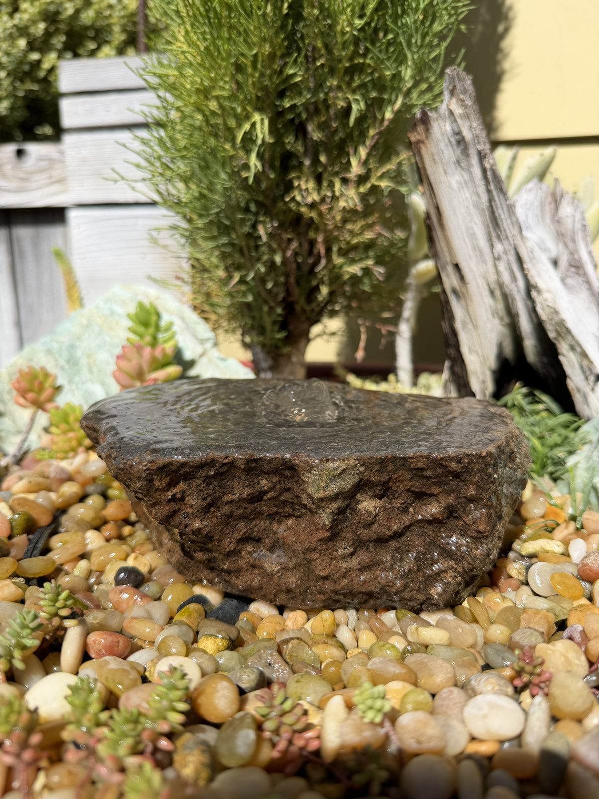 Drilled Rock Bird Bath Fountain - Natural Bubbling Stone for Hummingbirds (7"x6"x2-1/2")