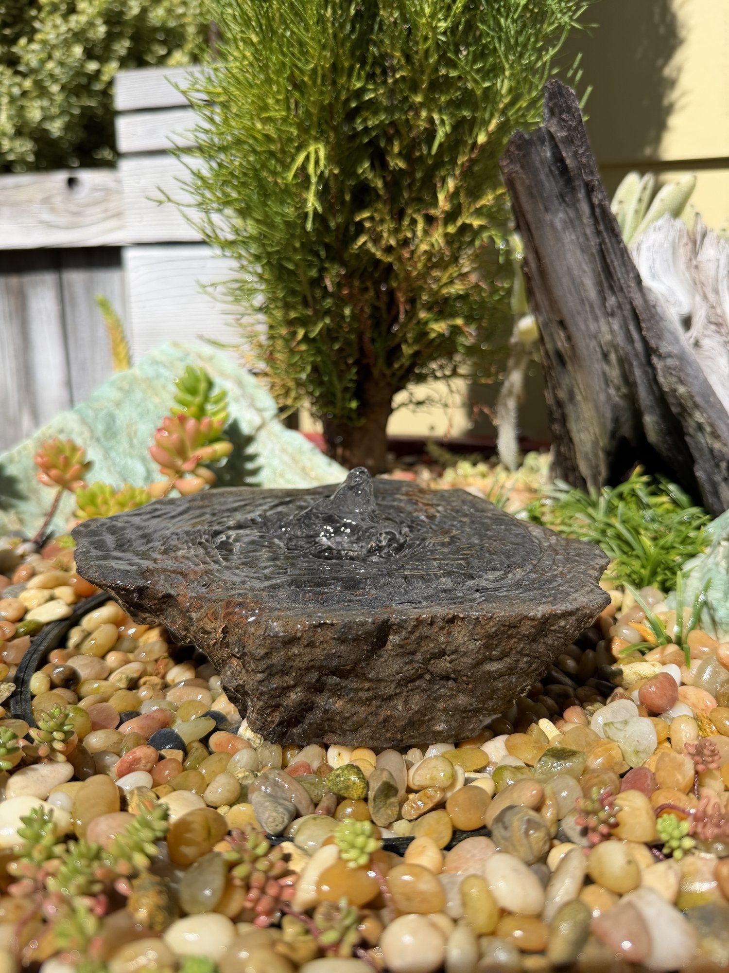 Drilled Rock Bird Bath Fountain - Natural Bubbling Stone for Hummingbirds (7"x6-1/2"x2") II