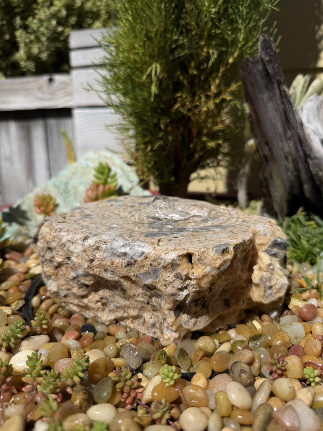 Drilled Rock Bird Bath Fountain - Natural Bubbling Stone for Hummingbirds (7"x6"x3")
