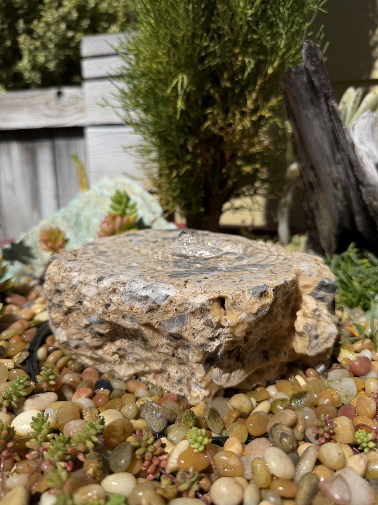 Drilled Rock Bird Bath Fountain - Natural Bubbling Stone for Hummingbirds (7"x6"x3")