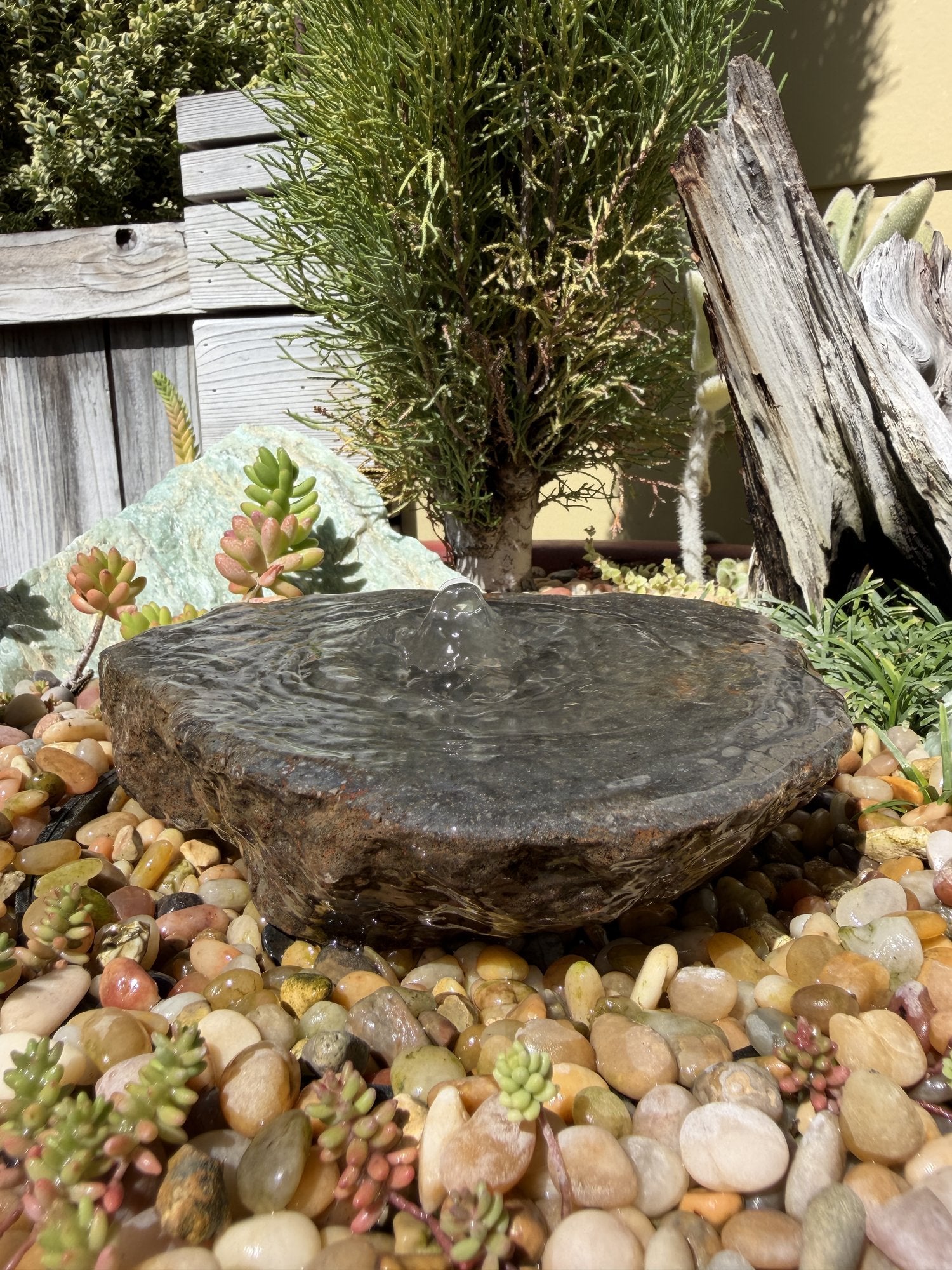 Drilled Rock Bird Bath Fountain - Natural Bubbling Stone for Hummingbirds (8"x7"x2")