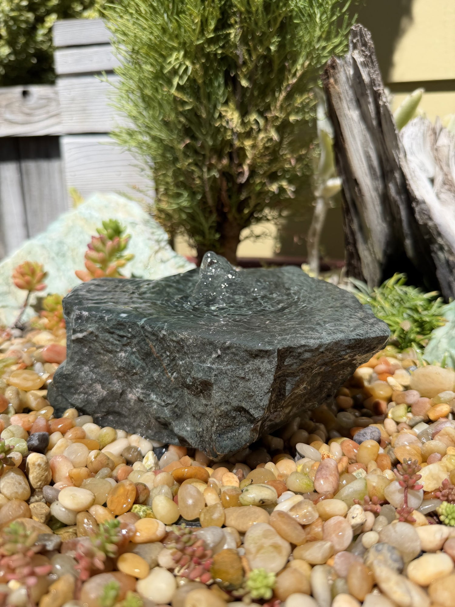 Hand-Polished Stone Bird Bath - Smooth River Rock for a Bubbling Fountain (6-1/2"x6"x2-1/2")
