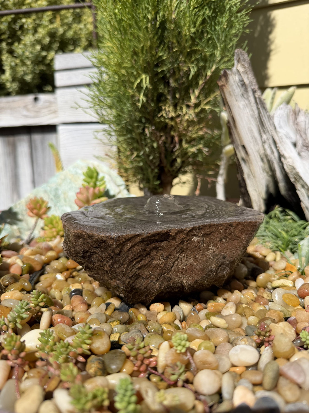 Drilled Rock Bird Bath Fountain - Natural Bubbling Stone for Hummingbirds (6-1/2"x5-1/2"x2-1/2")