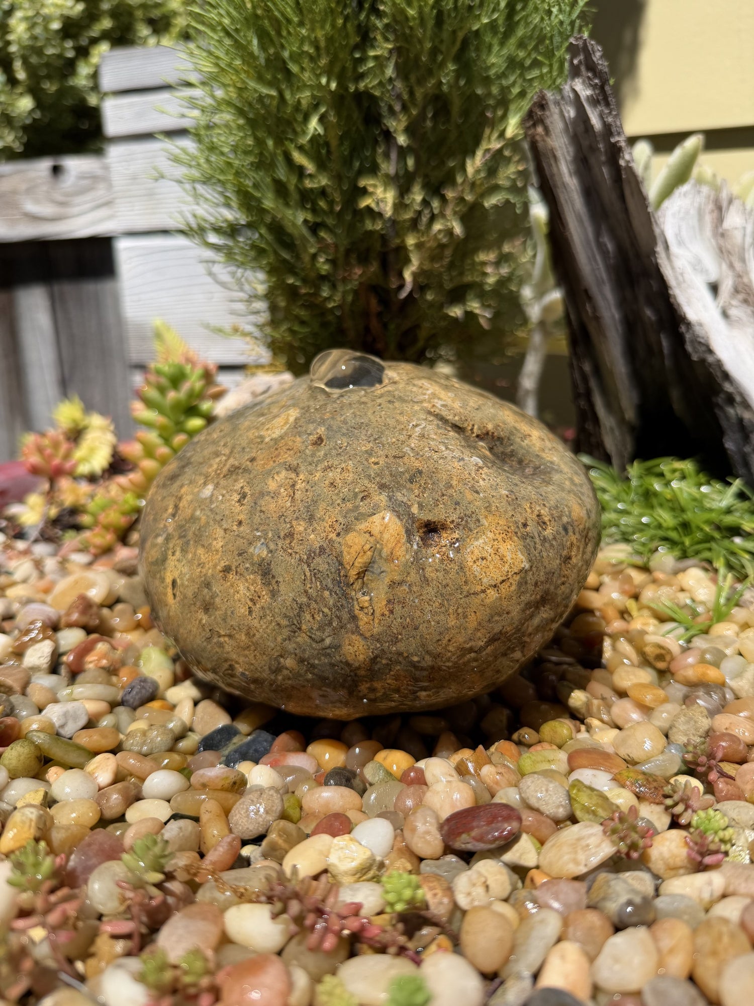 Natural Fountain Stone - River Rock Bird Bath for a Bubbling Water Fountain (6" tall)