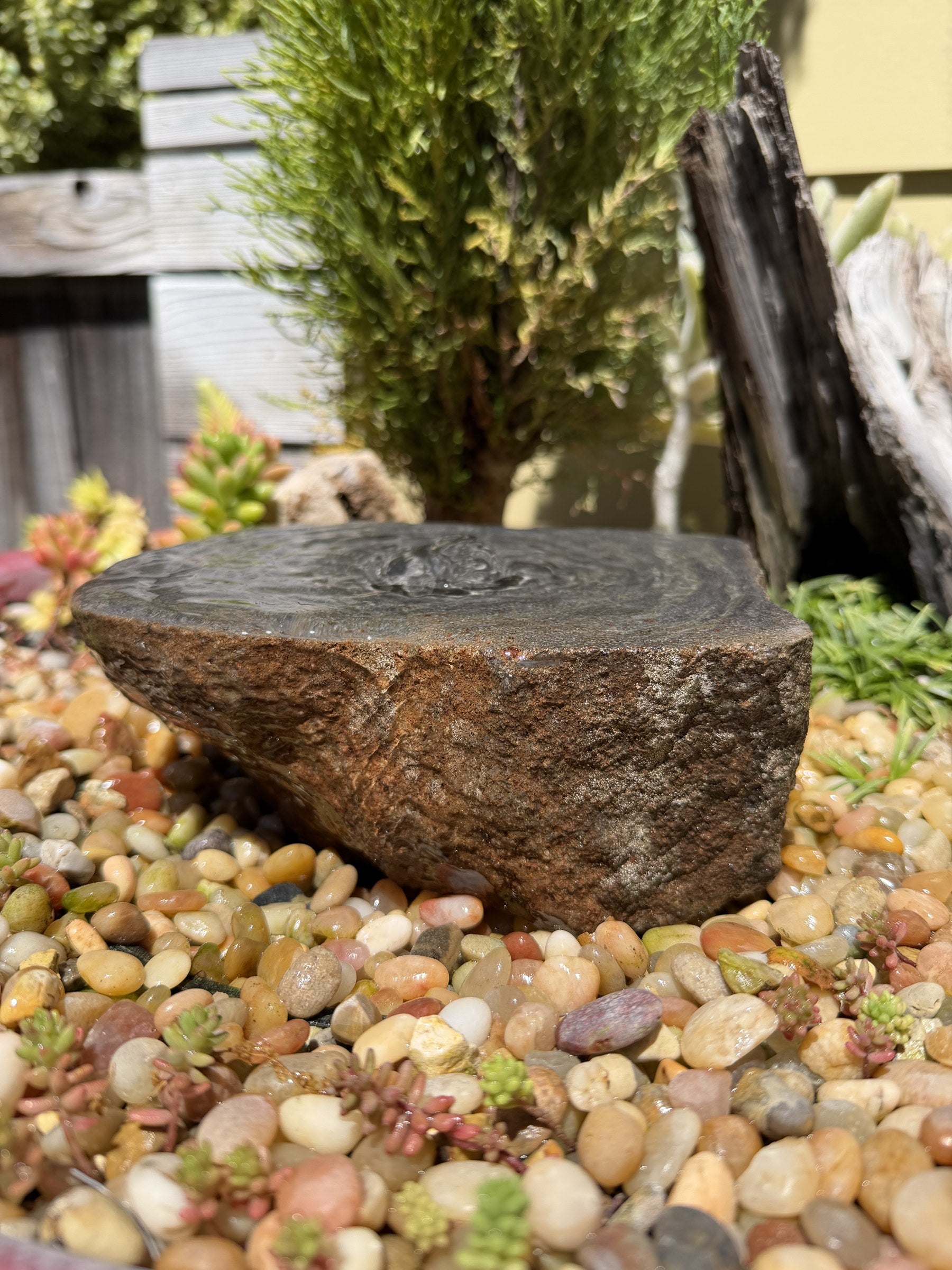 Drilled Rock Bird Bath Fountain - Natural Bubbling Stone for Hummingbirds (7" wide, 2-1/2" tall)