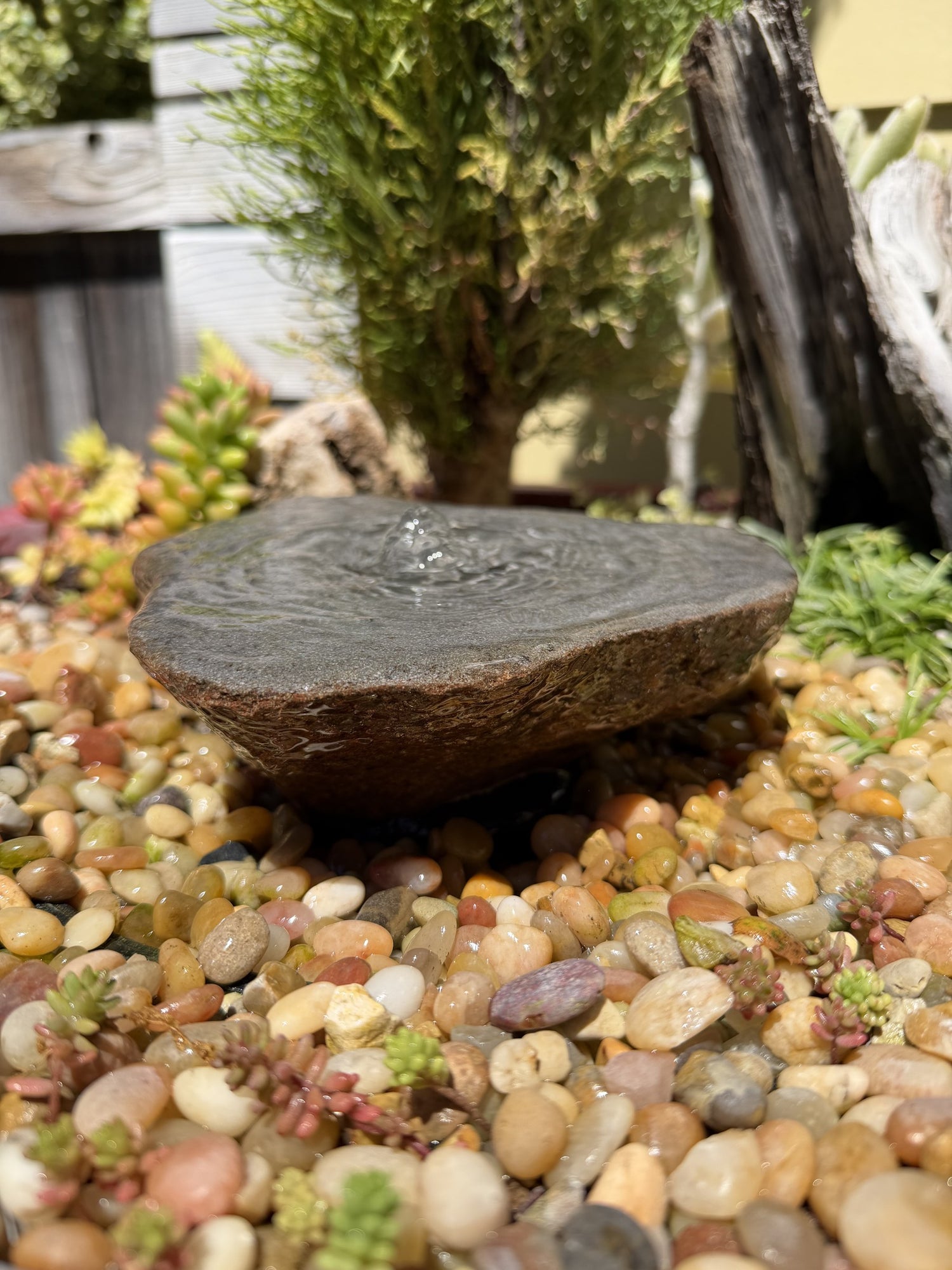 Drilled Rock Bird Bath Fountain - Natural Bubbling Stone for Hummingbirds (7" wide, 2" tall)