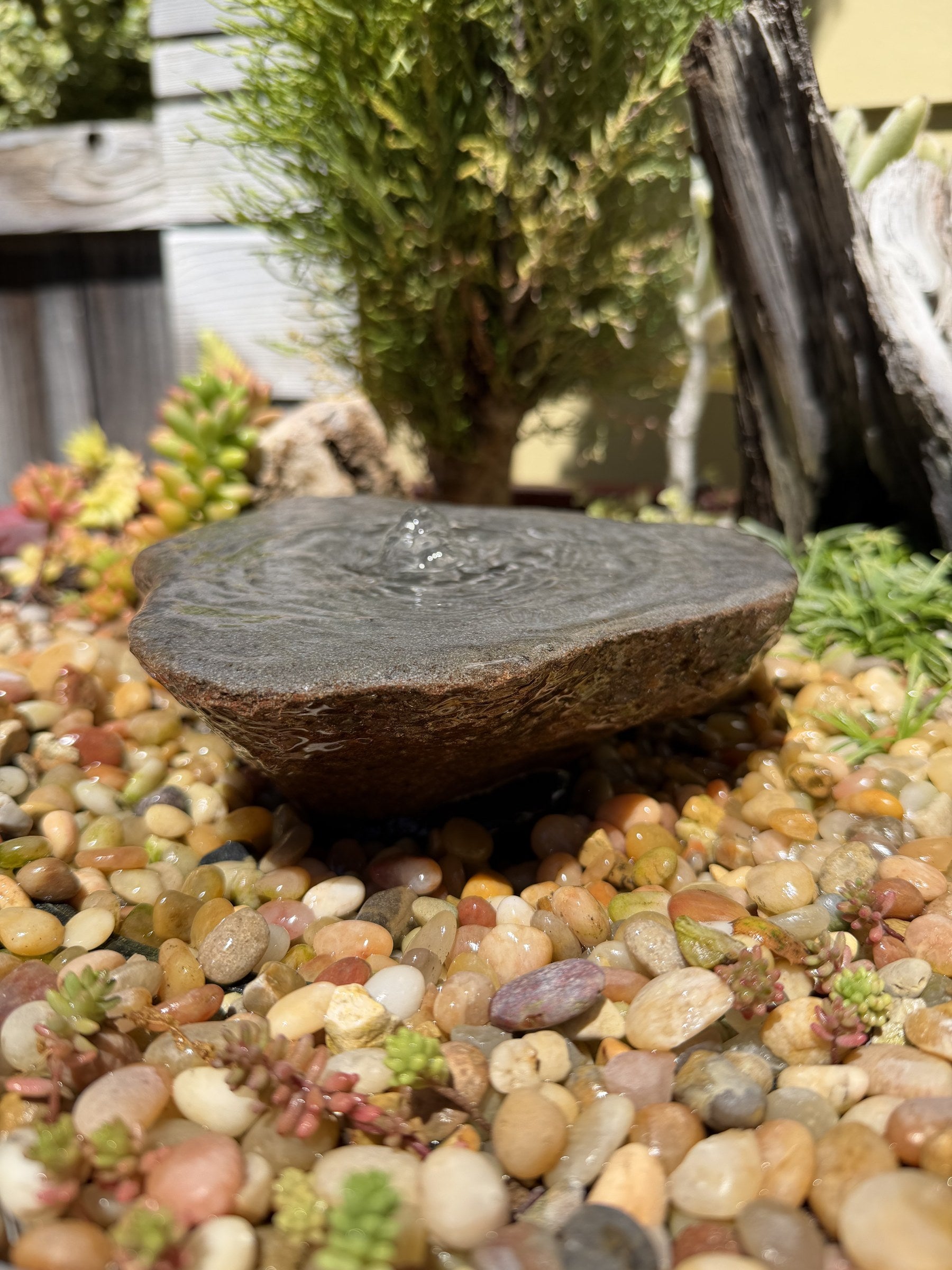 Drilled Rock Bird Bath Fountain - Natural Bubbling Stone for Hummingbirds (7" wide, 2" tall)