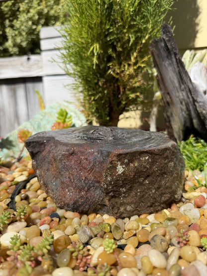 Drilled Rock Bird Bath Fountain - Natural Bubbling Stone for Hummingbirds (7"x5-1/2"x3")