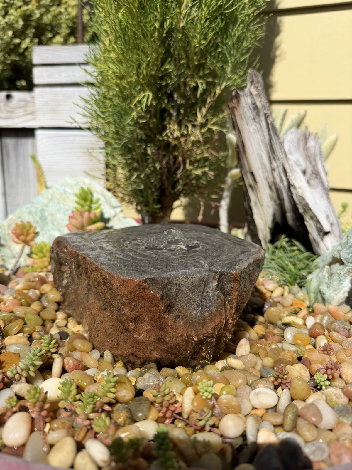 Drilled Rock Bird Bath Fountain - Natural Bubbling Stone for Hummingbirds (6-1/2"x6"x2-1/2")