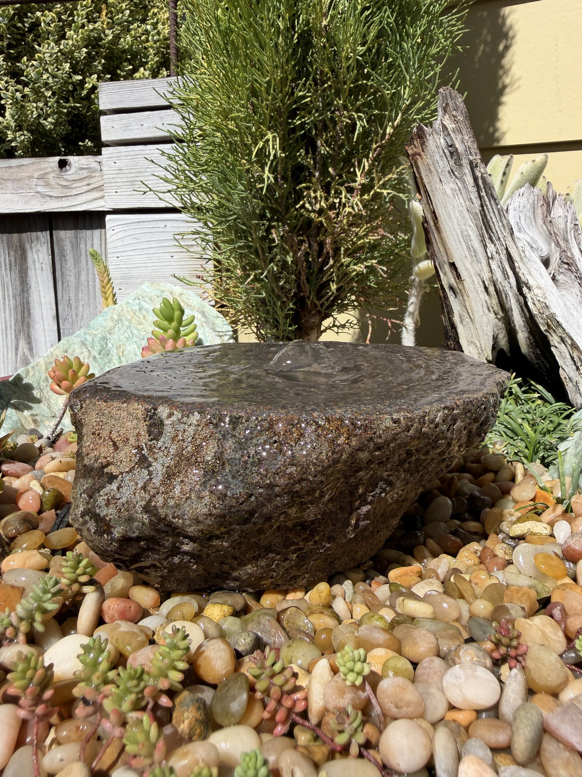 Drilled Rock Bird Bath Fountain - Natural Bubbling Stone for Hummingbirds (7-1/2"x7"x3")