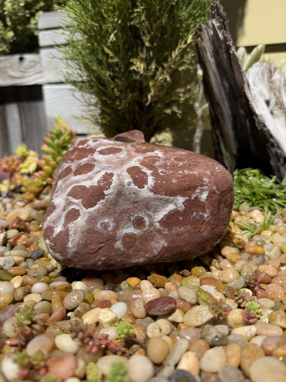Natural Fountain Stone - Round River Rock Bird Bath for a Bubbling Fountain (6" tall)