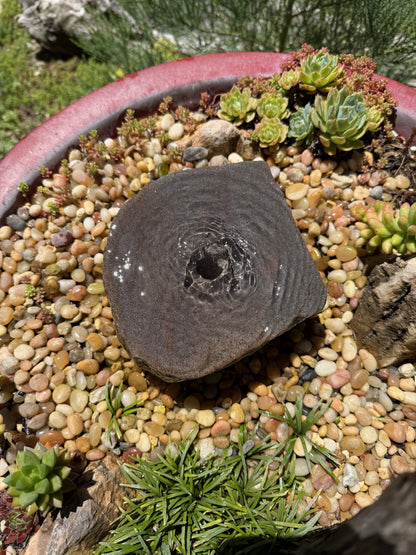 Drilled Rock Bird Bath Fountain - Natural Bubbling Stone for Hummingbirds (6" wide, 2-1/2" tall)