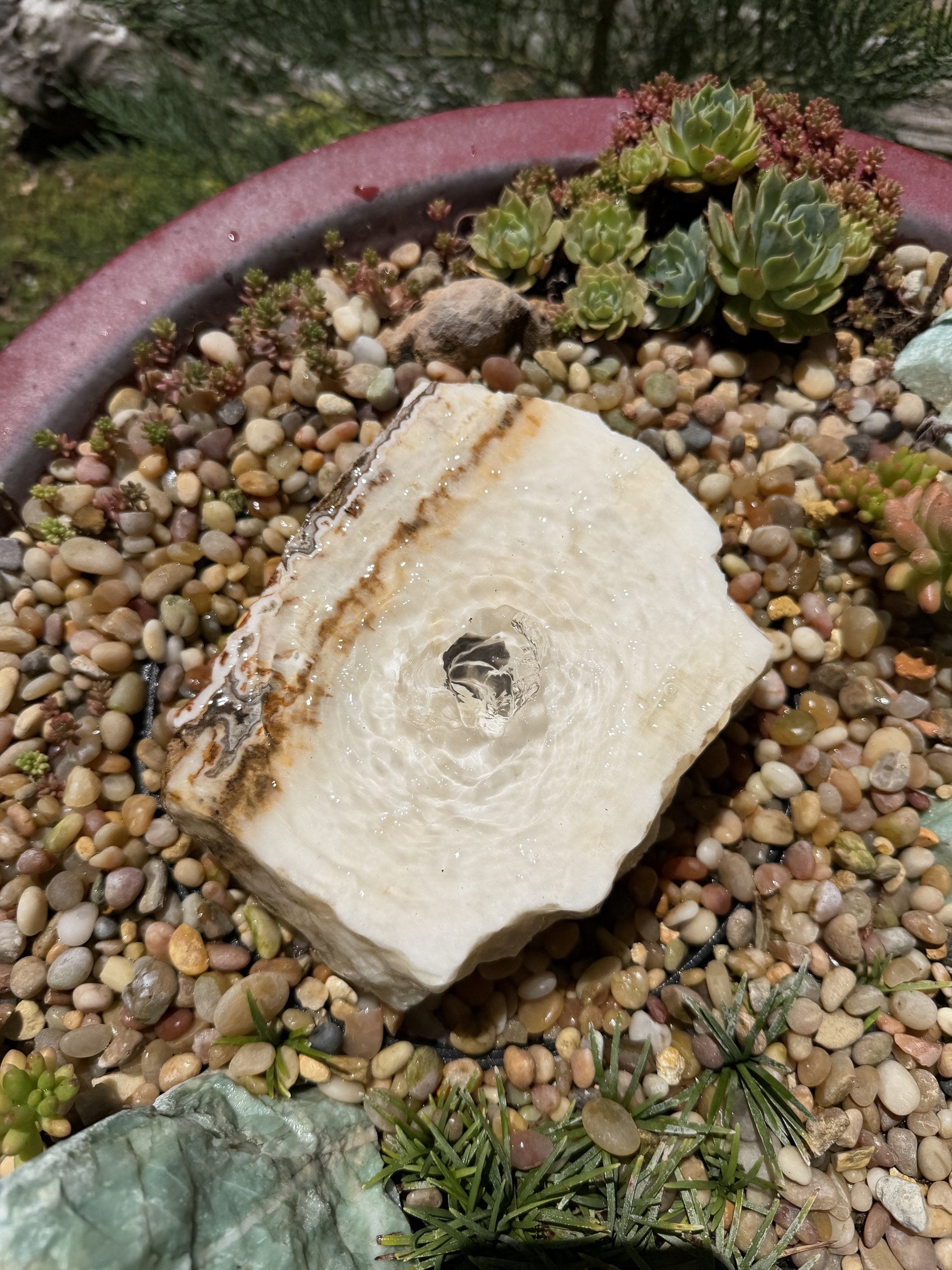 Hand-Polished Stone Bird Bath - Smooth River Rock for a Bubbling Fountain (7"x6"x2-1/2")