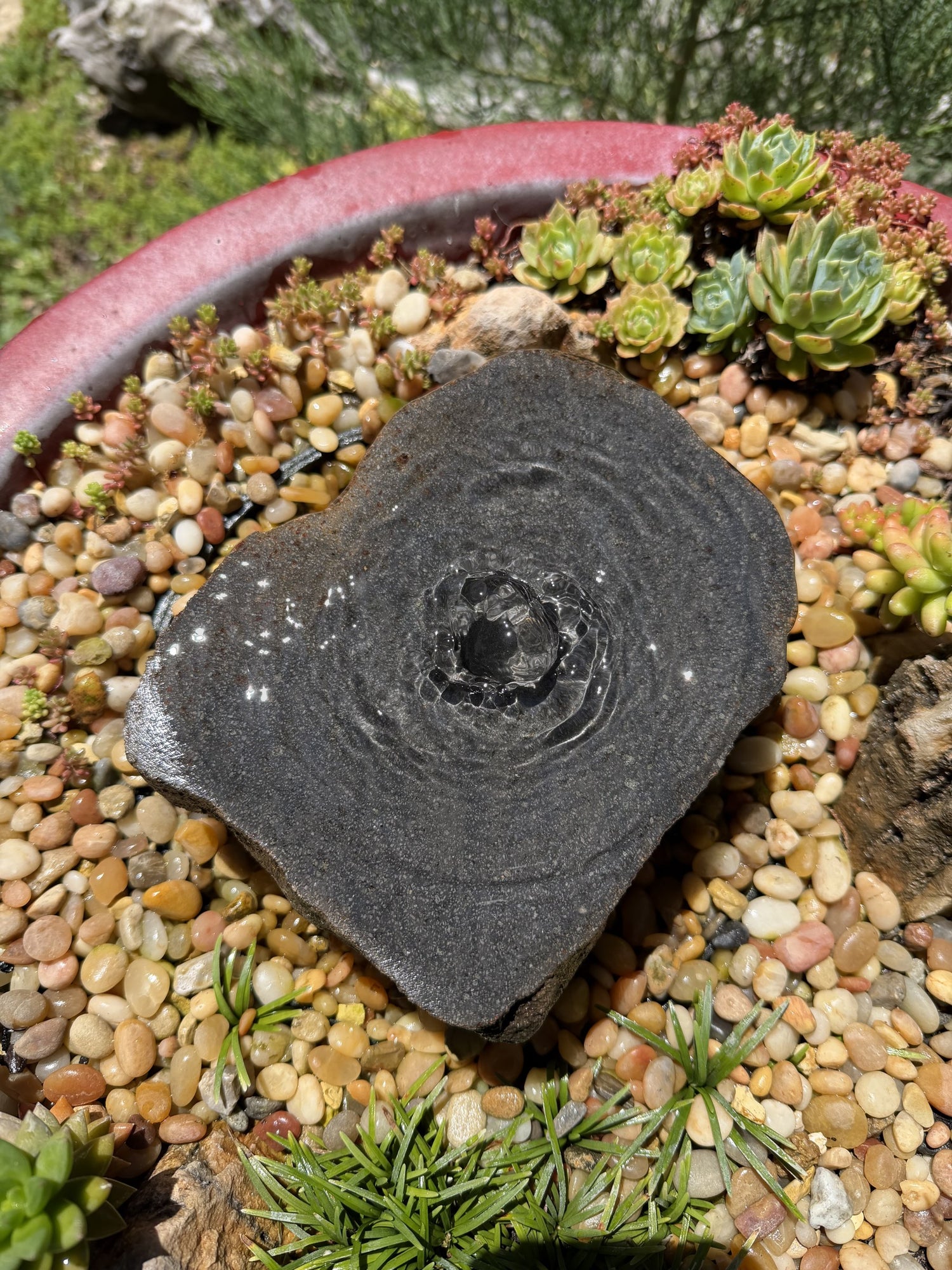 Drilled Rock Bird Bath Fountain - Natural Bubbling Stone for Hummingbirds (7" wide, 2-1/2" tall)